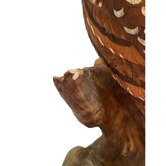 Vintage 1982 Richardsons Owl John James Audubon Porcelain Figurine Hand Painted - Picture 10 of 10